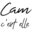 Favicon Camcestelle